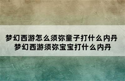 梦幻西游怎么须弥童子打什么内丹 梦幻西游须弥宝宝打什么内丹